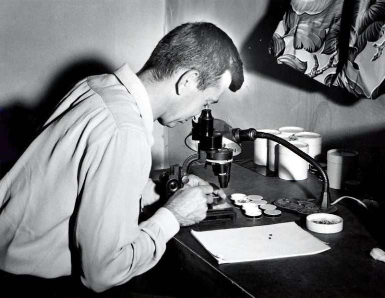 Fascinating History of the Invention of the Microscope