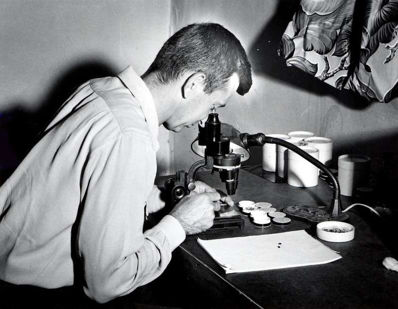 History of the Invention of the Microscope