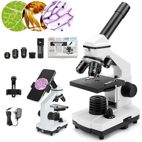 BEBANG-Compound-Microscope